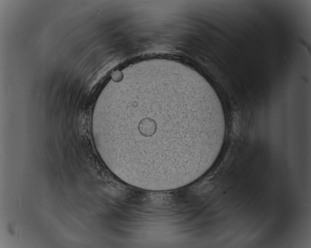 X0000103301258200809261305