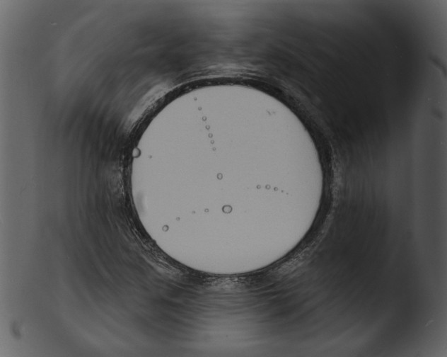 X0000103301259200809261305