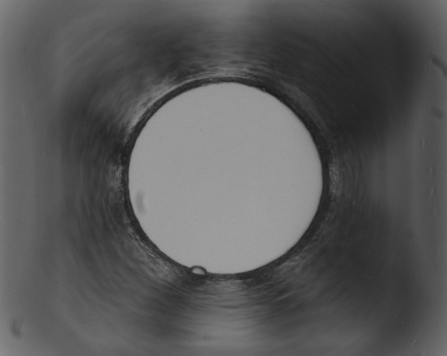 X0000103301260200809261305