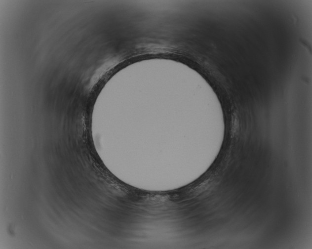 X0000103301261200809261305
