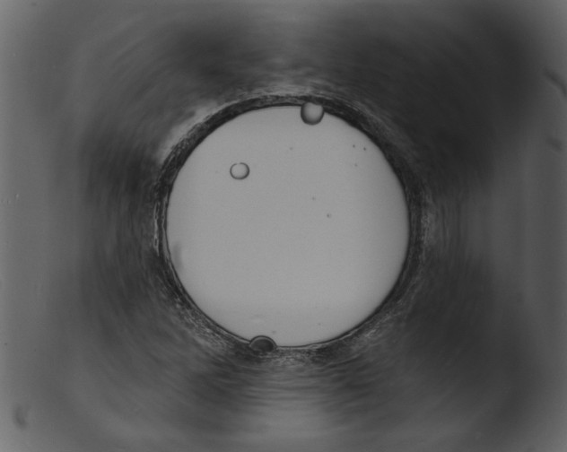 X0000103301262200809261305
