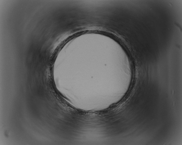 X0000103301263200809261305