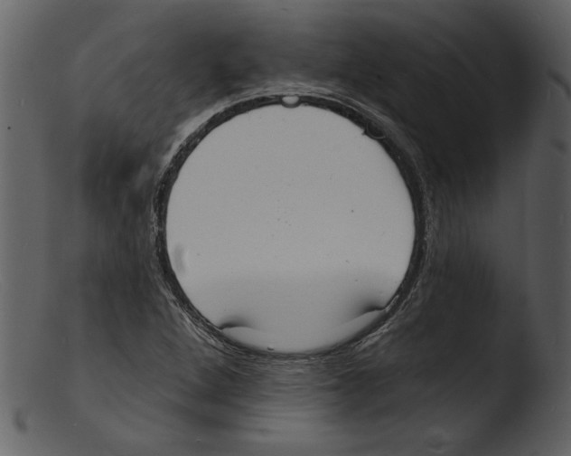 X0000103301264200809261305