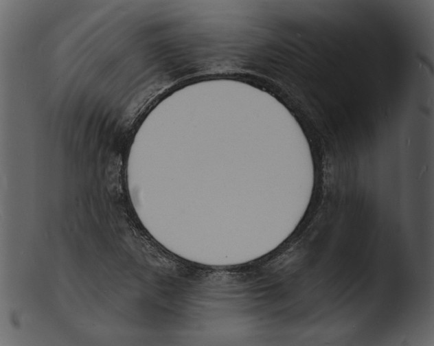 X0000103301265200809261305