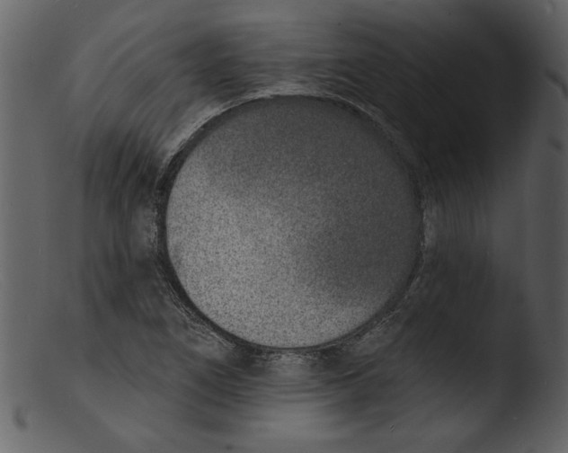 X0000103301266200809261305