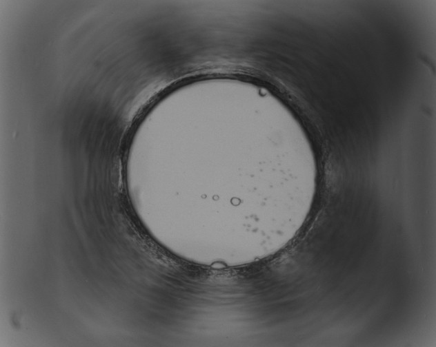 X0000103301267200809261305