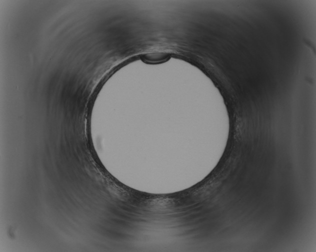 X0000103301268200809261305