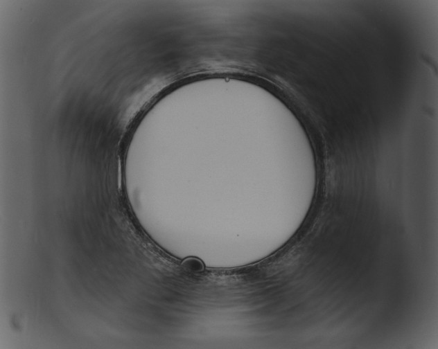 X0000103301269200809261305