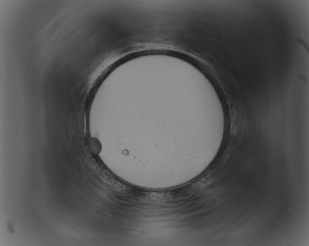 X0000103301271200809261305