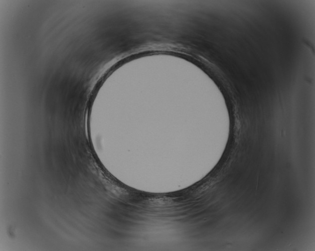 X0000103301272200809261305