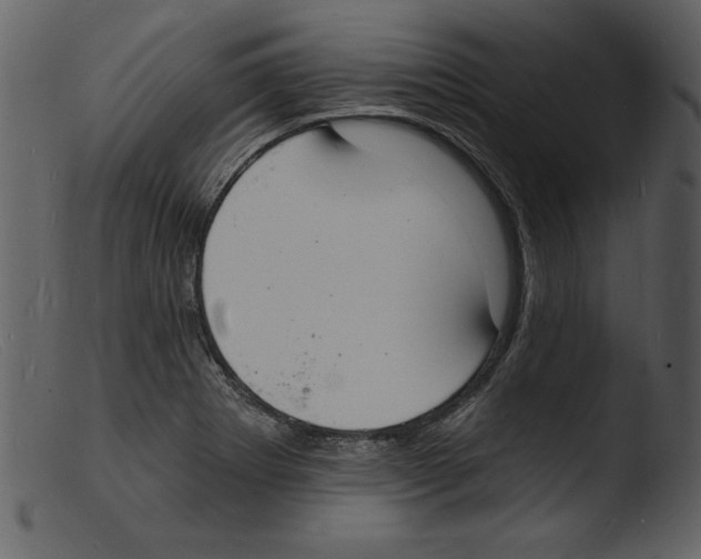 X0000103301273200809261305