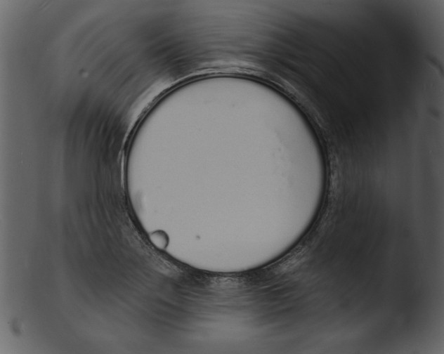 X0000103301275200809261305