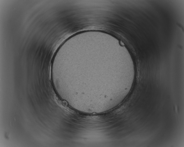 X0000103301276200809261305