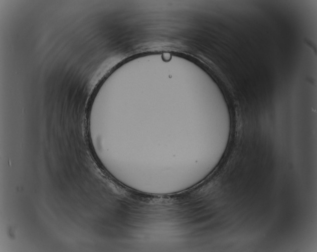 X0000103301277200809261305