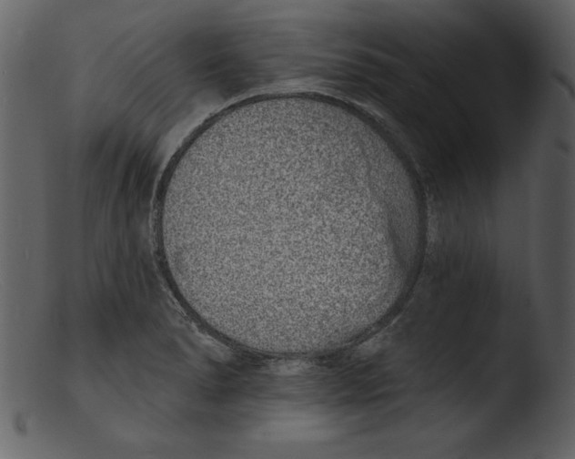 X0000103301278200809261304