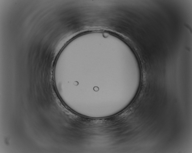 X0000103301279200809261304