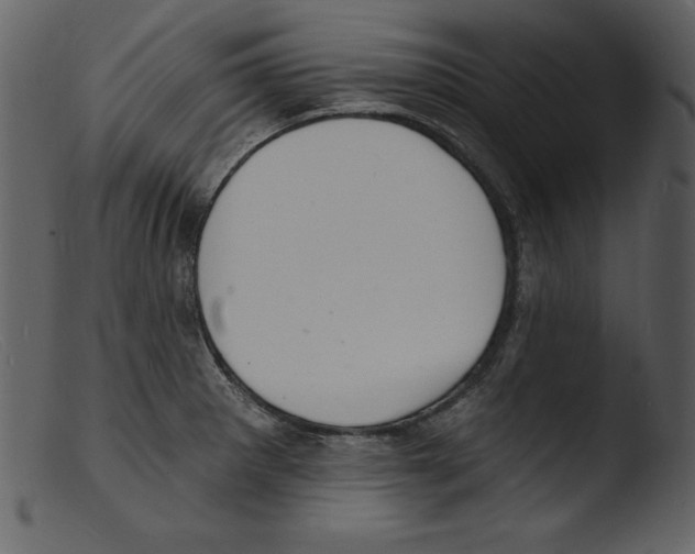 X0000103301281200809261304