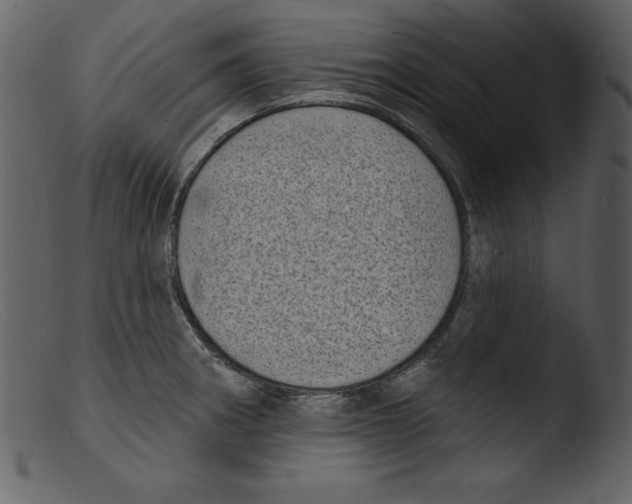X0000103301282200809261304