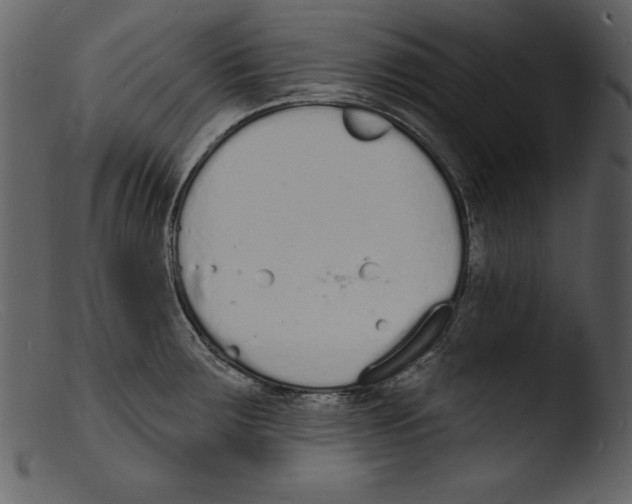 X0000103301283200809261304