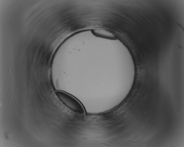 X0000103301284200809261304