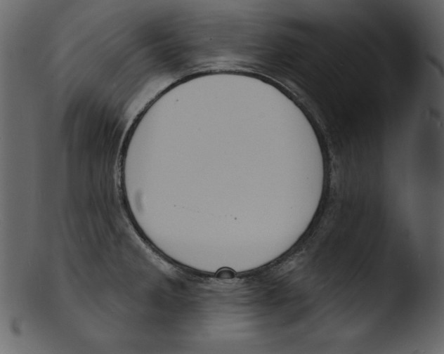 X0000103301285200809261304