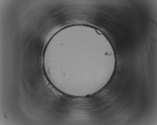 X0000103301287200809261304