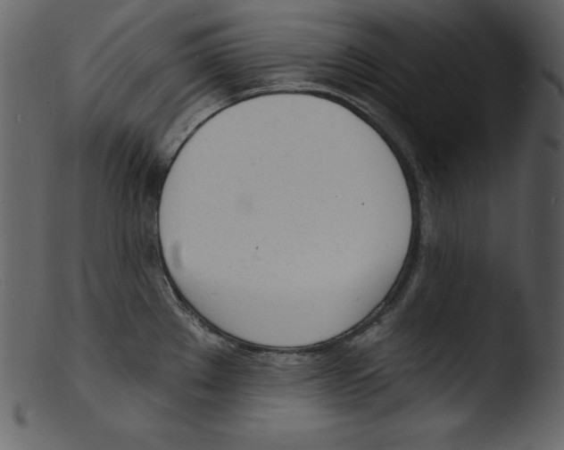 X0000103301289200809261304