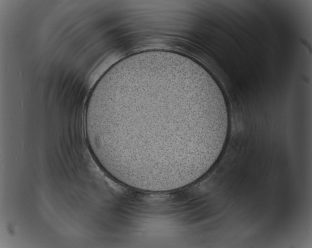 X0000103301290200809261304