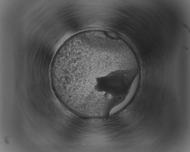 X0000103301291200809261304