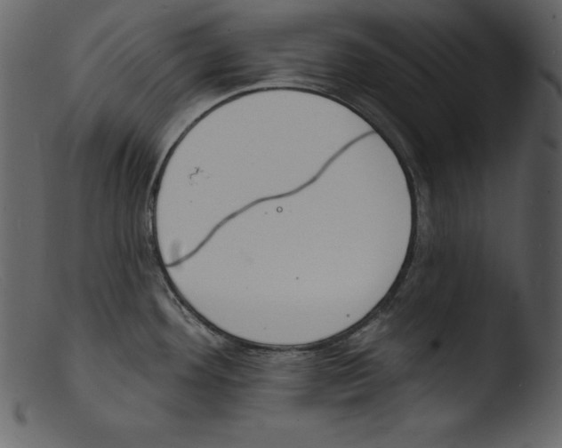 X0000103301292200809261304