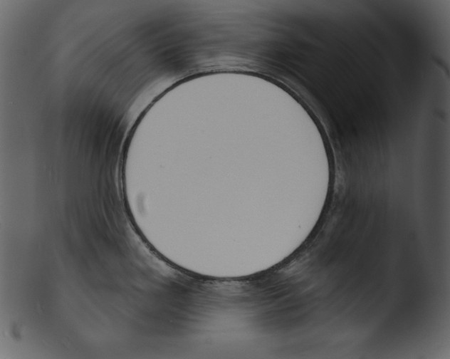 X0000103301293200809261304