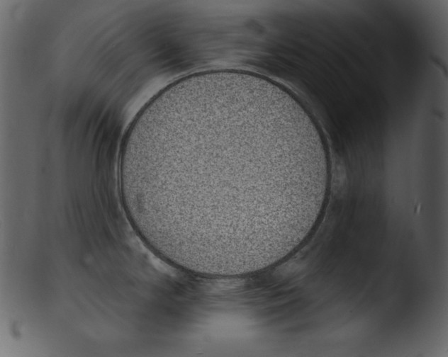 X0000103301294200809261304