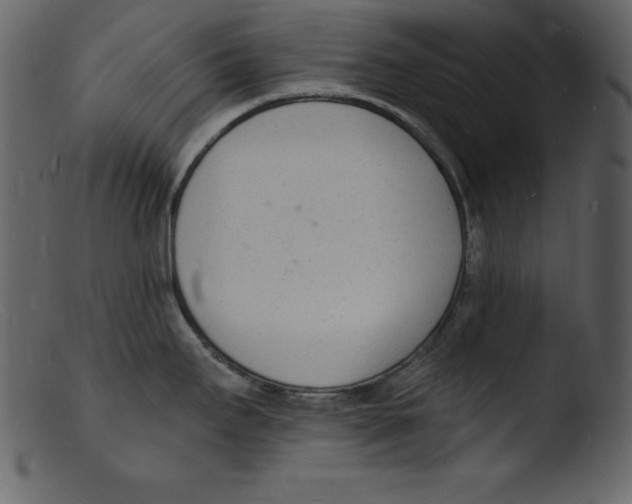 X0000103301295200809261304