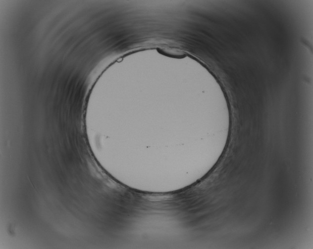 X0000103301296200809261304