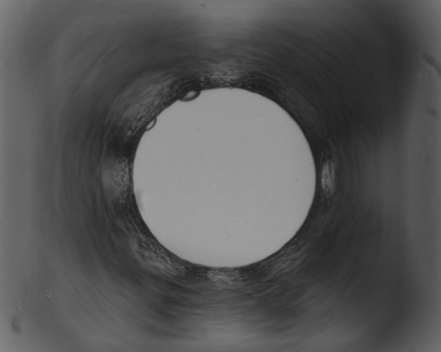 X0000103301299200809261303
