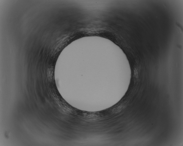 X0000103301300200809261303