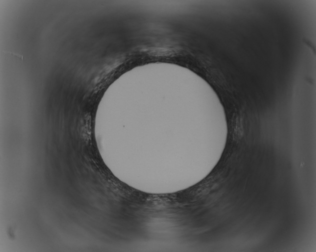 X0000103301301200809261303