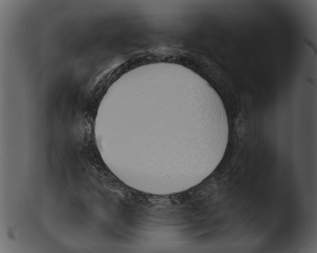 X0000103301302200809261303