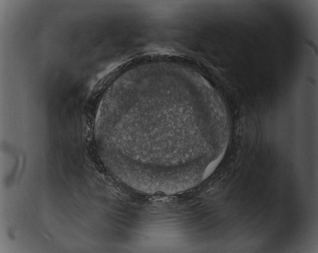 X0000103301303200809261303