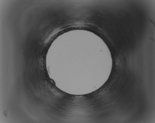 X0000103301304200809261304