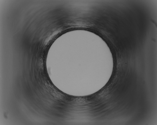 X0000103301307200809261304