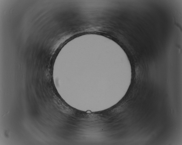 X0000103301308200809261304