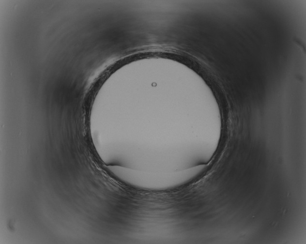 X0000103301310200809261304