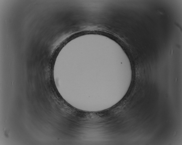 X0000103301311200809261304