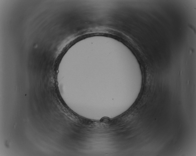 X0000103301312200809261304