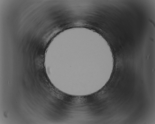 X0000103301314200809261304