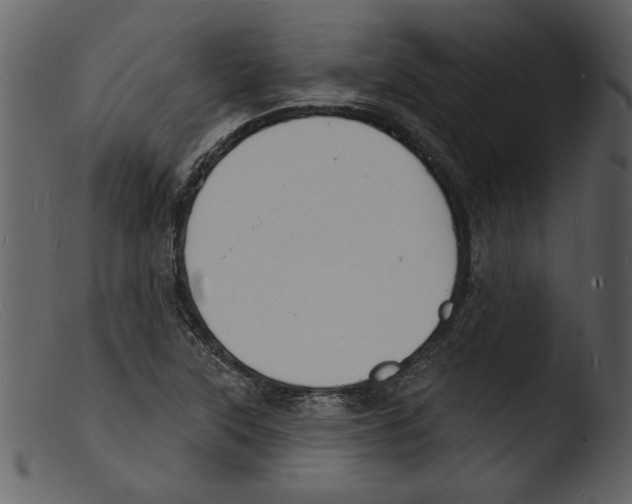 X0000103301315200809261304