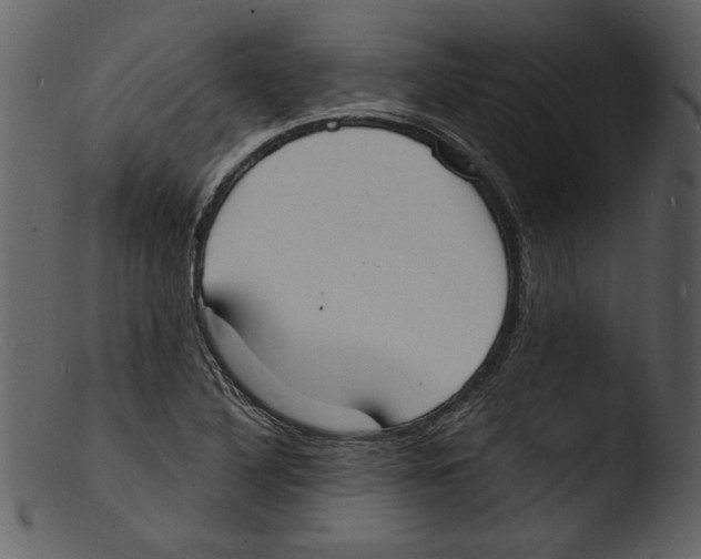 X0000103301316200809261304