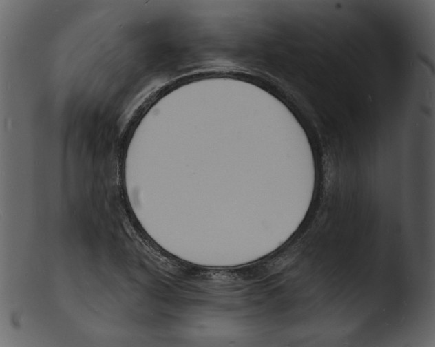 X0000103301318200809261304