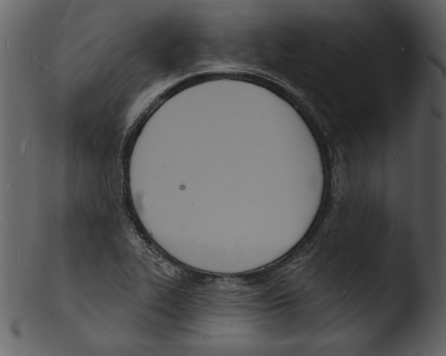 X0000103301319200809261304